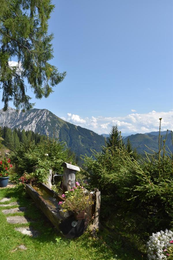 Jagdhuette Gammeringalm Villa Spital Am Pyhrn Exterior photo