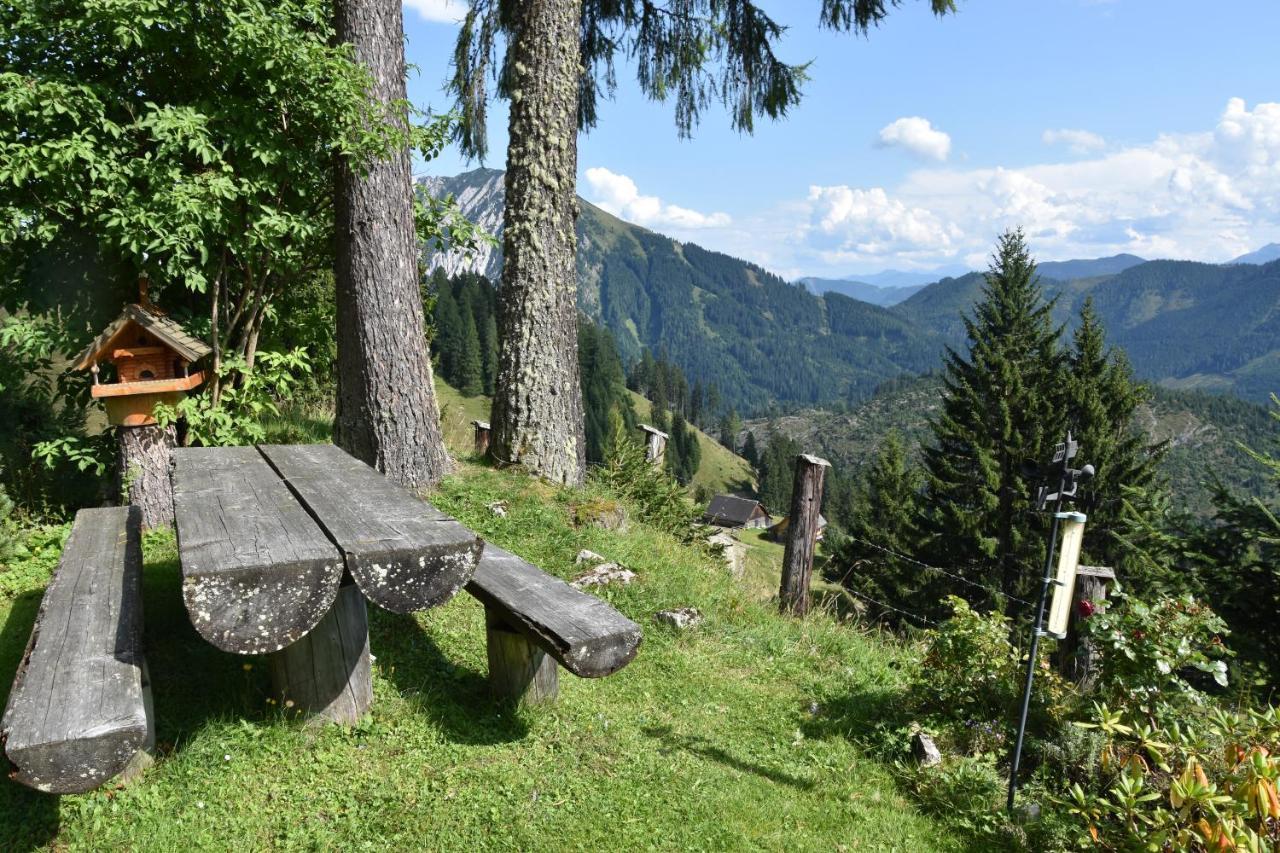 Jagdhuette Gammeringalm Villa Spital Am Pyhrn Exterior photo