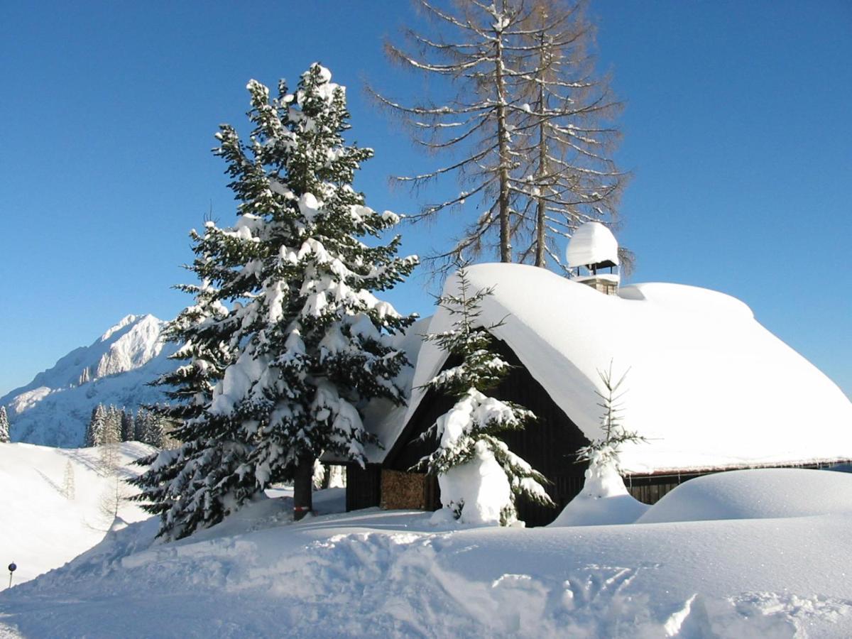 Jagdhuette Gammeringalm Villa Spital Am Pyhrn Exterior photo