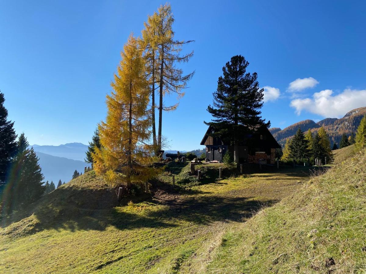 Jagdhuette Gammeringalm Villa Spital Am Pyhrn Exterior photo