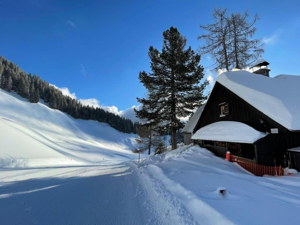 Jagdhuette Gammeringalm Villa Spital Am Pyhrn Exterior photo