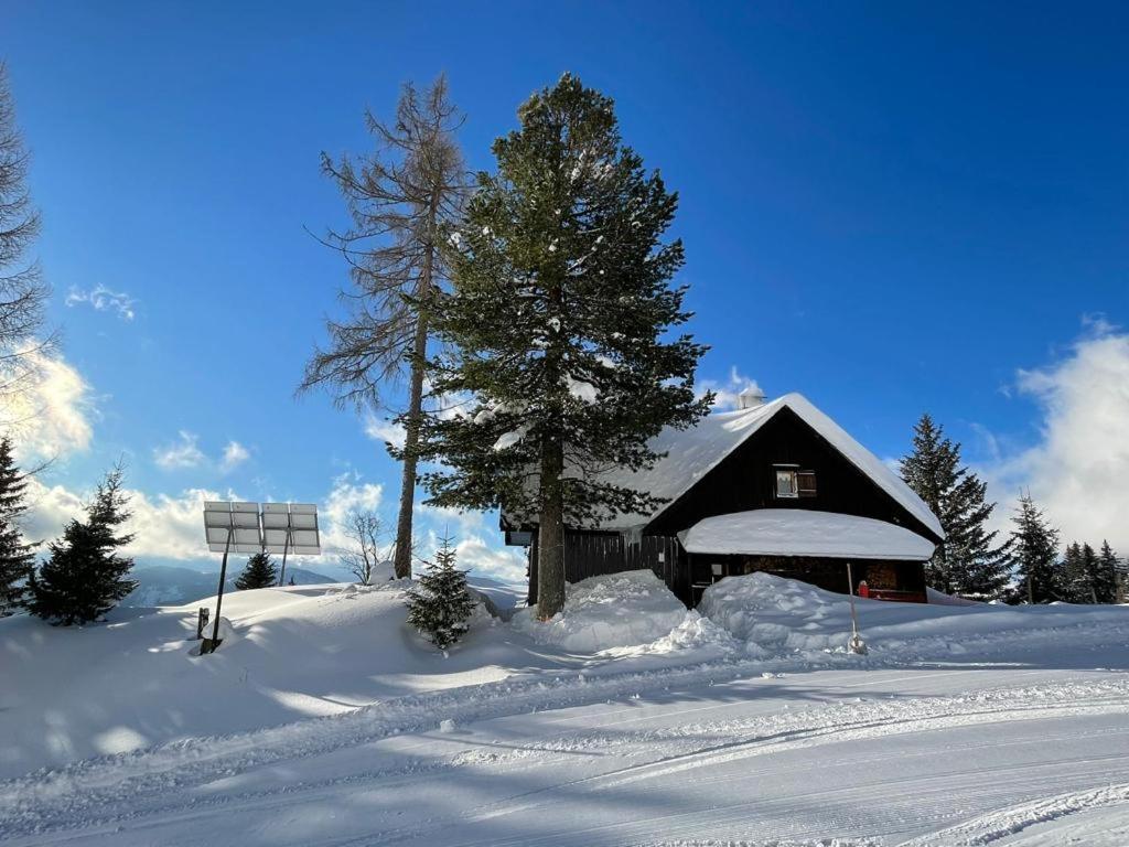 Jagdhuette Gammeringalm Villa Spital Am Pyhrn Exterior photo